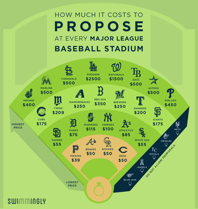 Propose At A Baseball Game